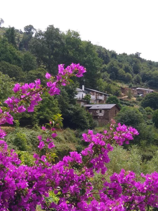 Villa Ribera Sacra  Santa María Esterno foto